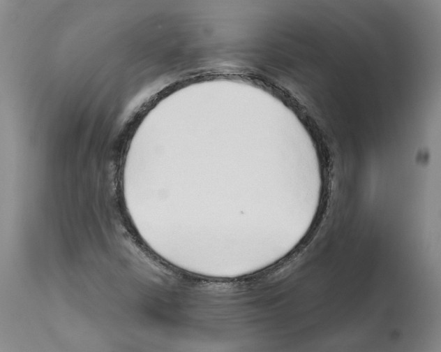 X0000112161402200909181436
