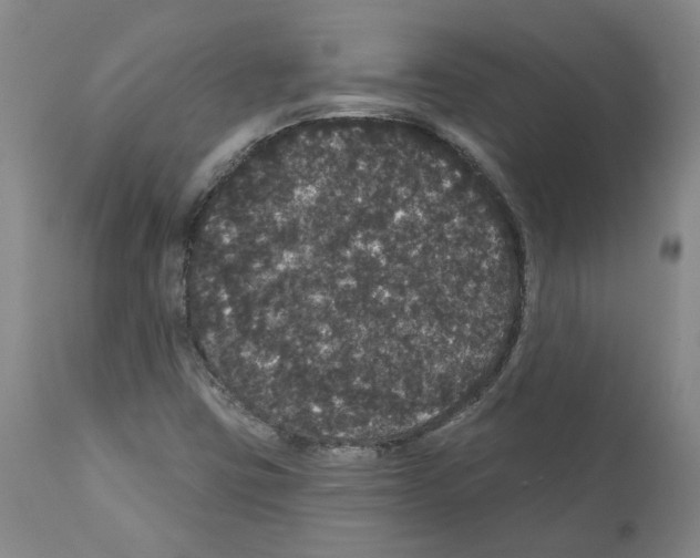 X0000112161403200909181436