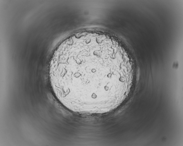 X0000112161405200909181436