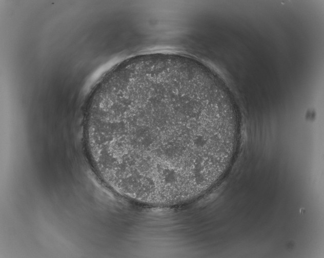 X0000112161406200909181436