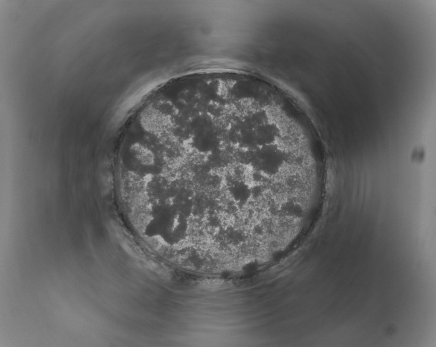 X0000112161407200909181436