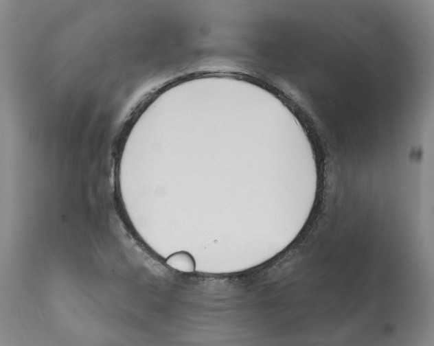 X0000112161408200909181436