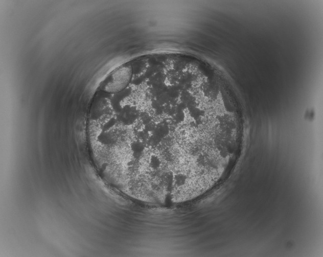 X0000112161409200909181436