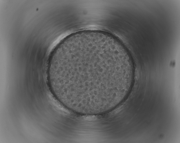 X0000112161410200909181436
