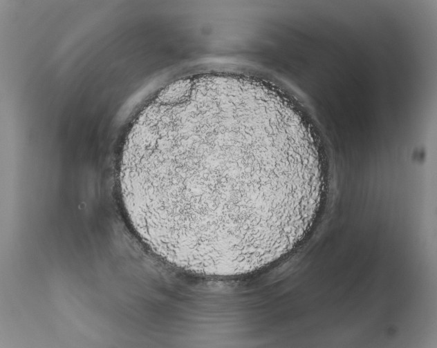 X0000112161411200909181436