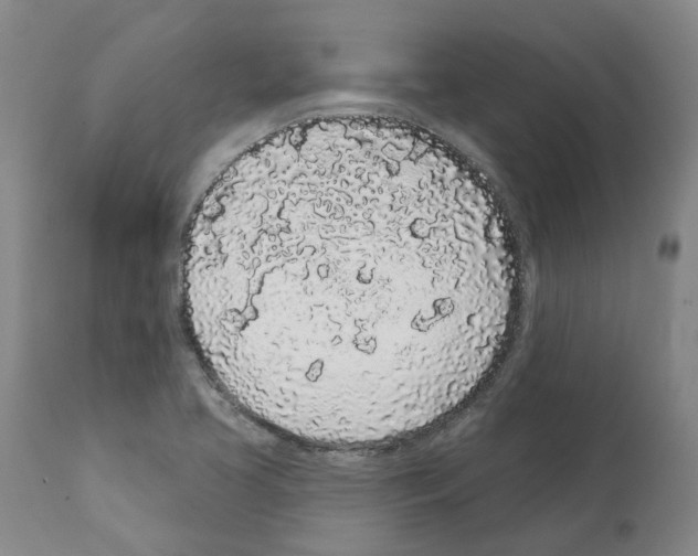 X0000112161413200909181436