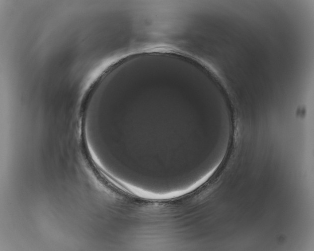 X0000112161414200909181436