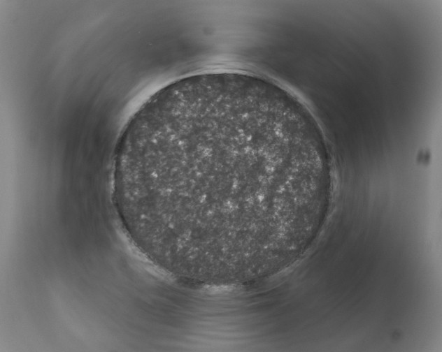 X0000112161415200909181436