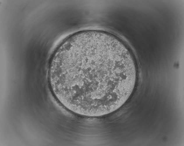 X0000112161416200909181436