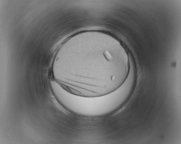 X0000112161417200909181436