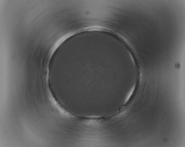 X0000112161418200909181436