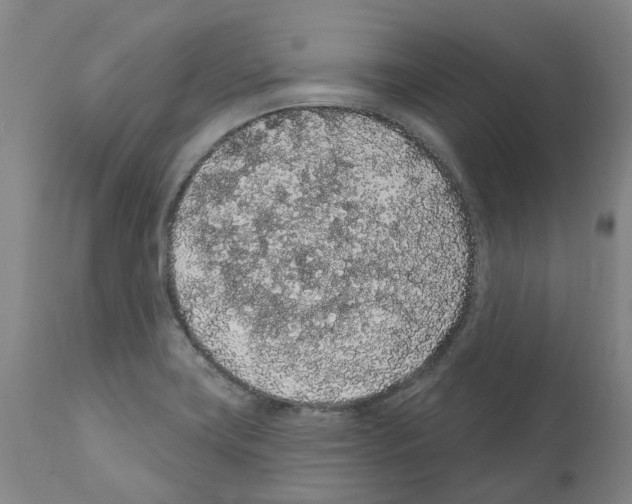 X0000112161419200909181436