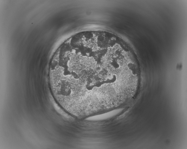 X0000112161421200909181436