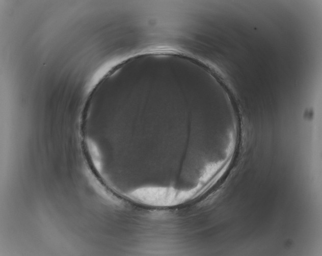 X0000112161422200909181436