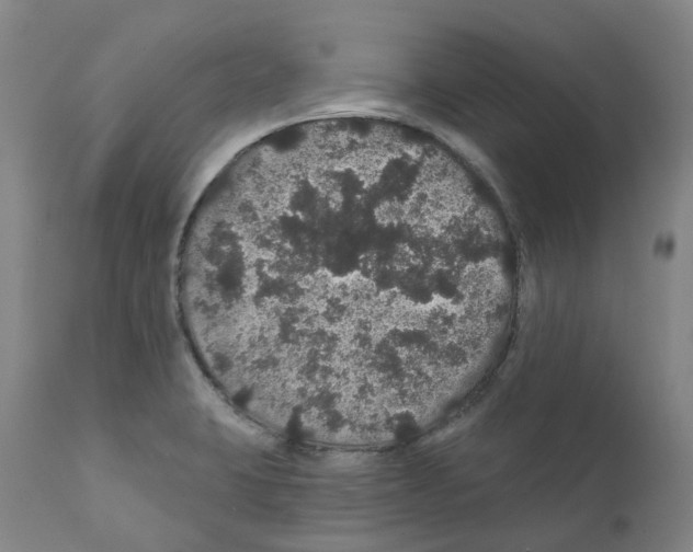 X0000112161423200909181436