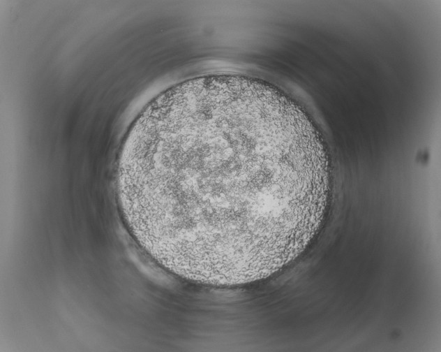 X0000112161427200909181437