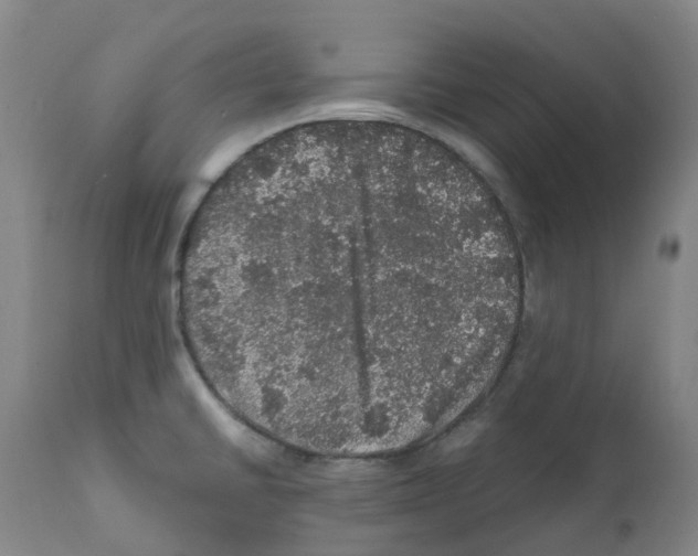 X0000112161430200909181437