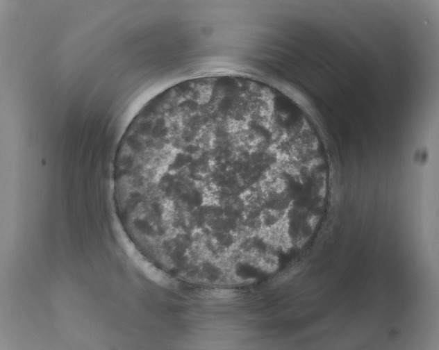 X0000112161431200909181437