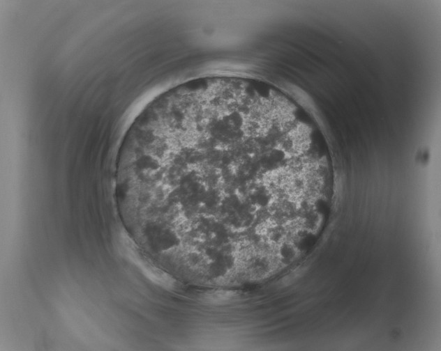 X0000112161435200909181437
