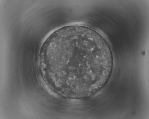 X0000112161436200909181437