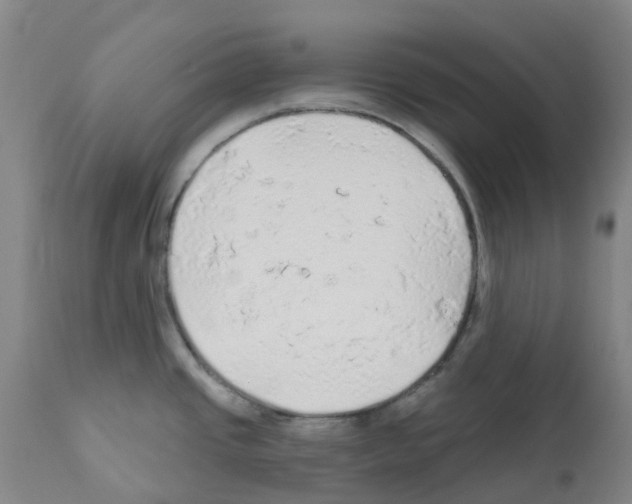 X0000112161437200909181437