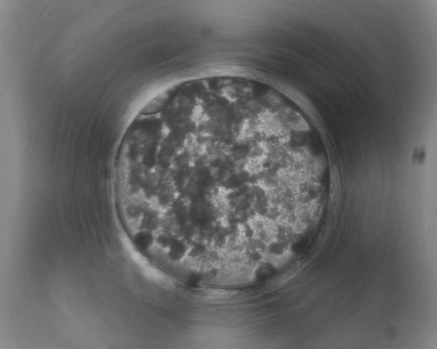 X0000112161439200909181437