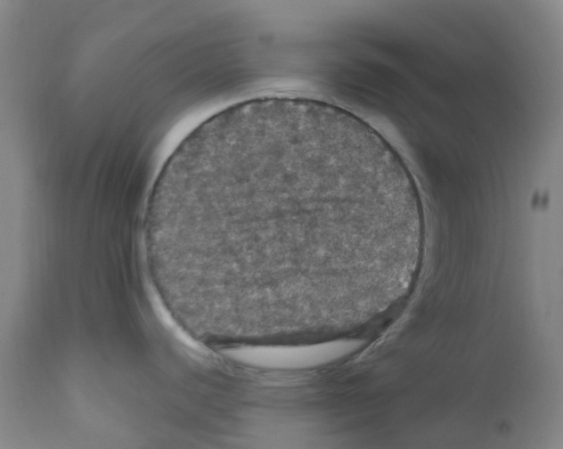 X0000112161440200909181437