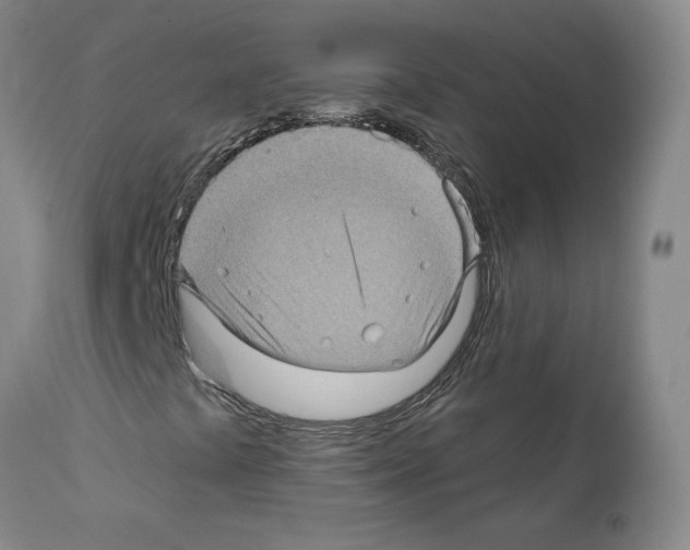 X0000112161441200909181436
