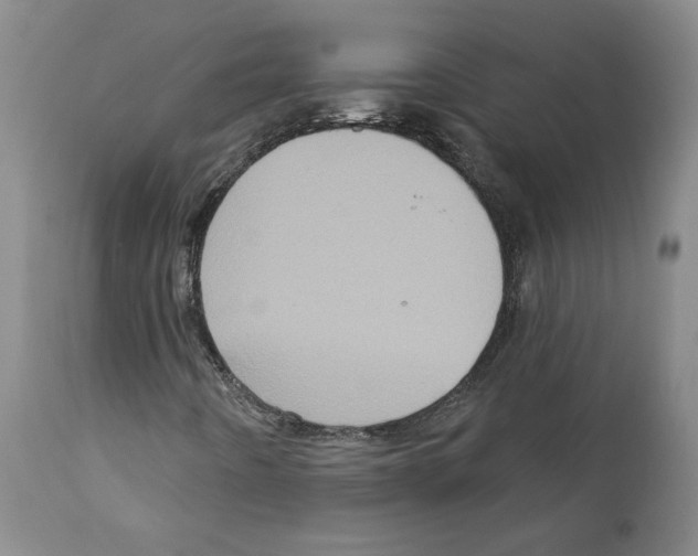 X0000112161442200909181436