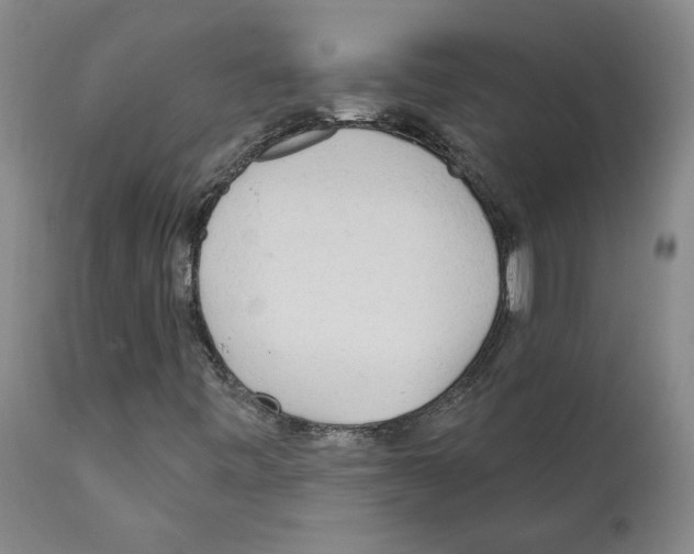 X0000112161443200909181436