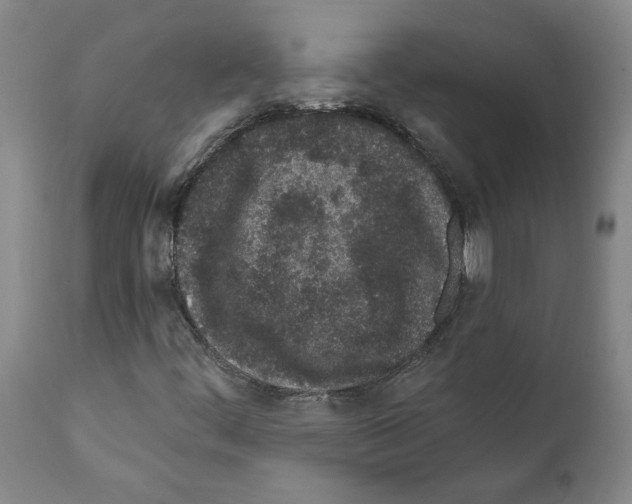 X0000112161444200909181436