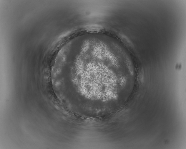 X0000112161445200909181436