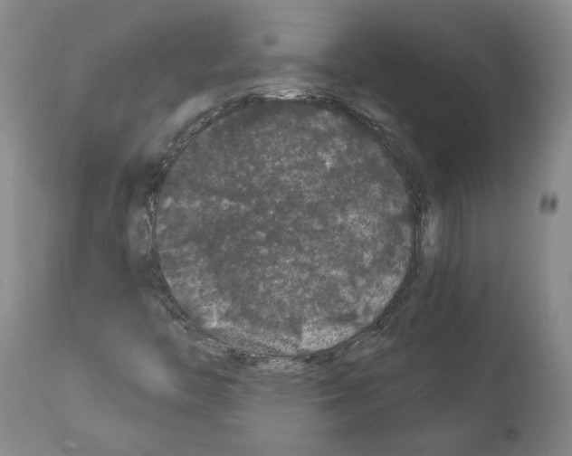 X0000112161446200909181436