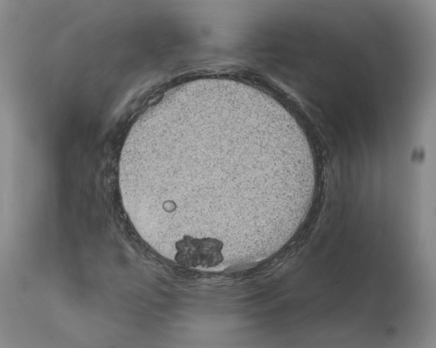 X0000112161447200909181436