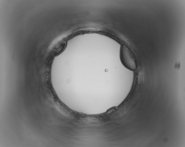 X0000112161448200909181436