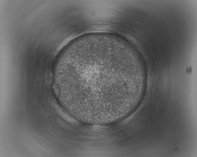 X0000112161449200909181436