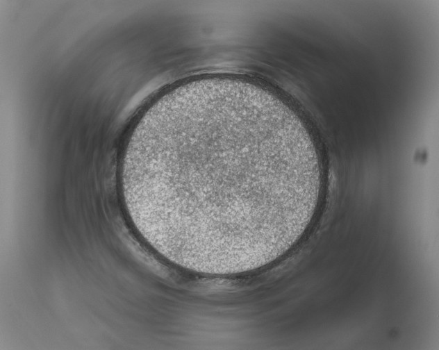 X0000112161450200909181436