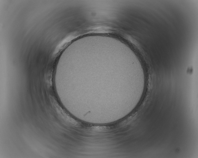 X0000112161451200909181436