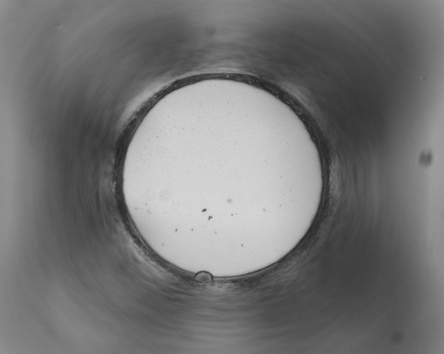 X0000112161452200909181436