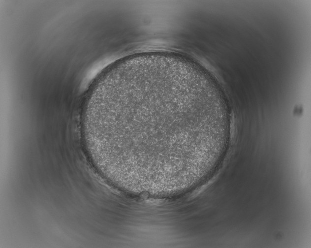 X0000112161453200909181436