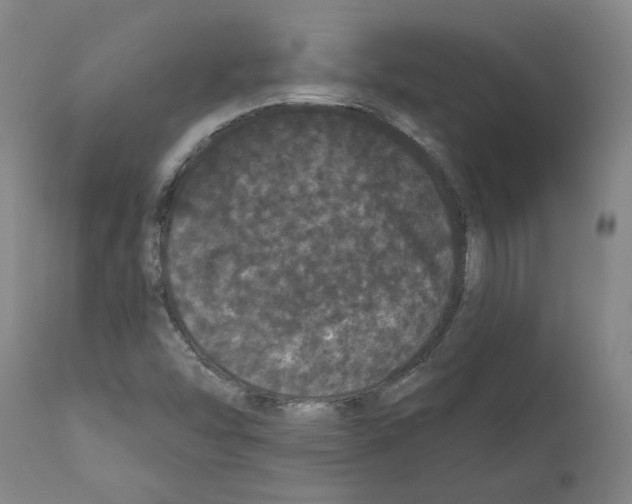 X0000112161454200909181436