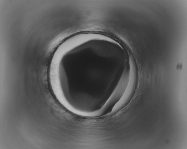 X0000112161455200909181436