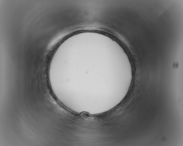 X0000112161456200909181436