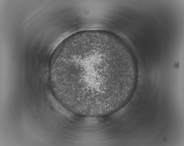 X0000112161457200909181436