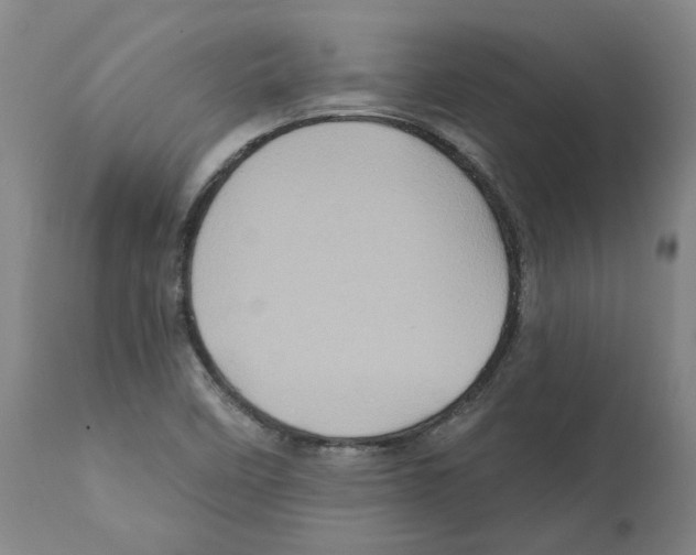 X0000112161458200909181436
