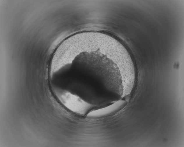 X0000112161459200909181436