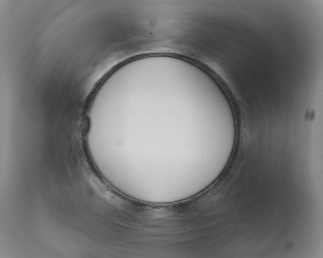 X0000112161460200909181436
