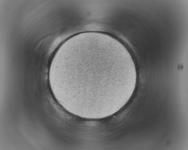 X0000112161461200909181436