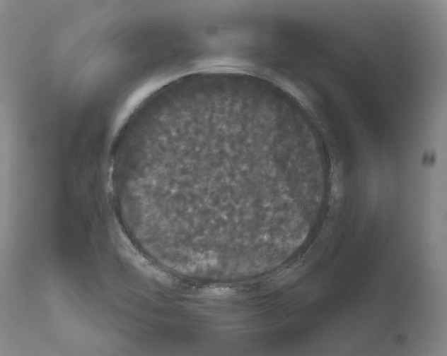 X0000112161462200909181436