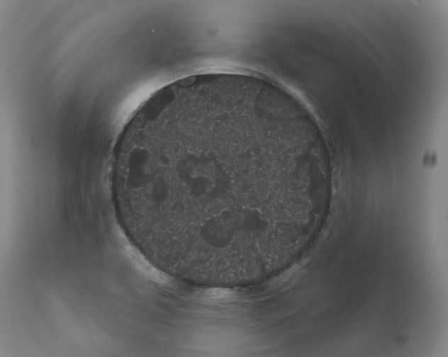 X0000112161463200909181436